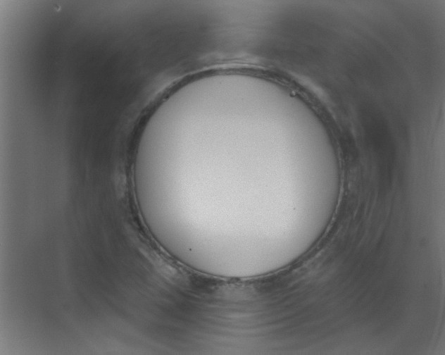 X0000073971407200609051833