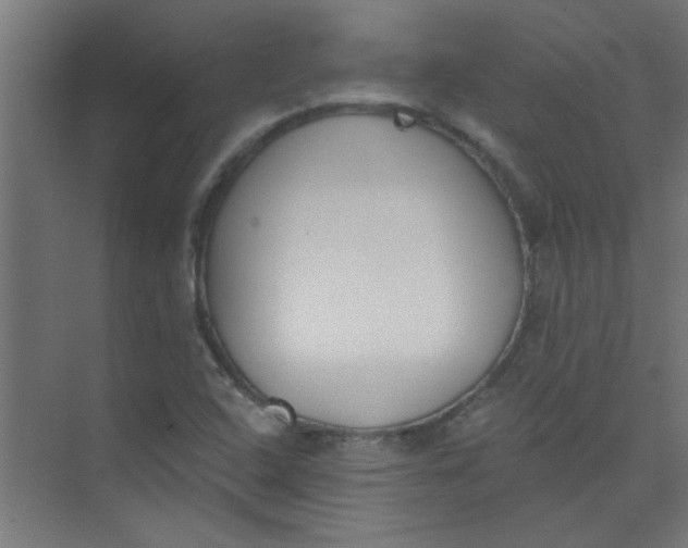 X0000073971408200609051833