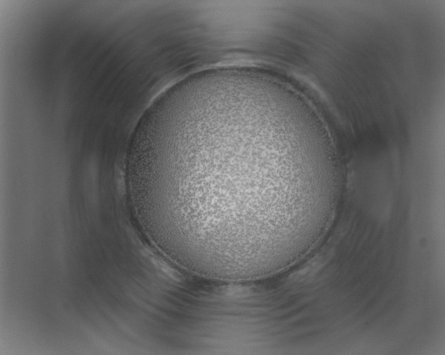 X0000073971409200609051833