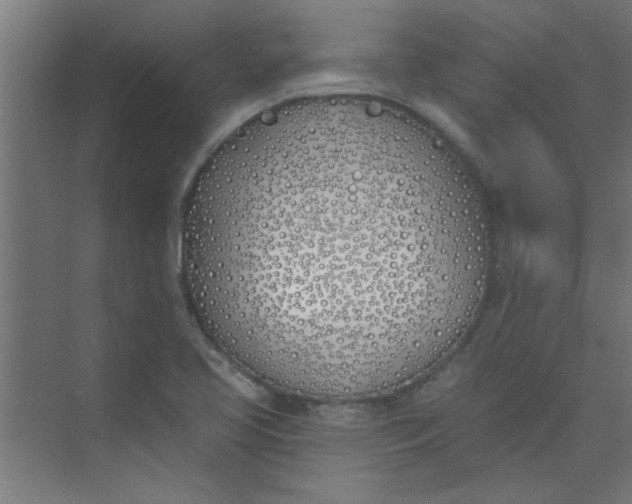 X0000073971413200609051833