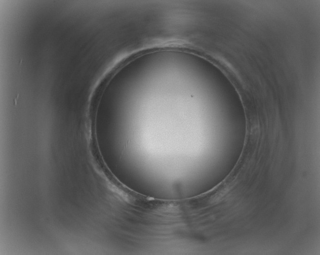 X0000073971414200609051833