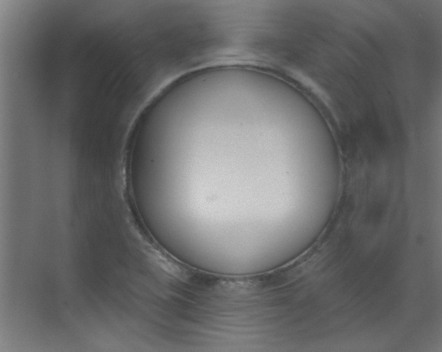 X0000073971415200609051833