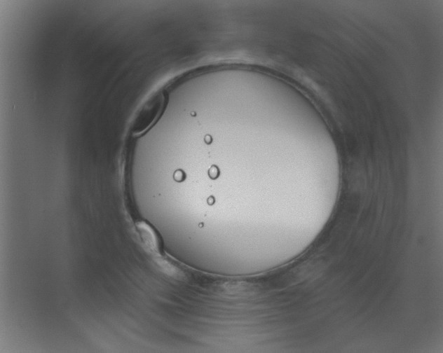 X0000073971416200609051833