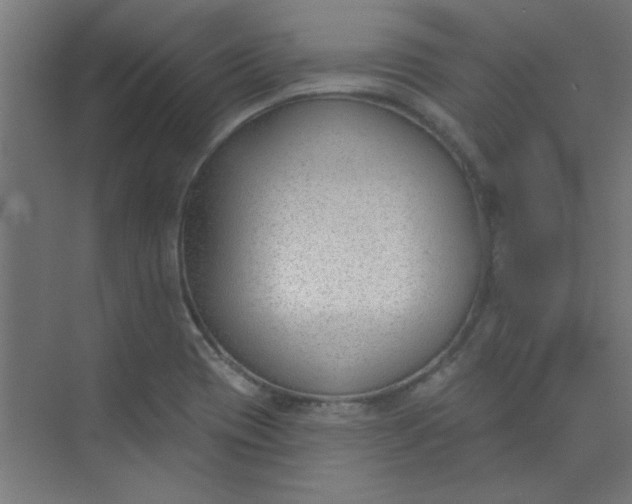 X0000073971417200609051833