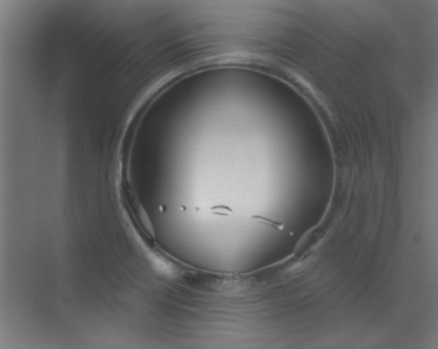 X0000073971418200609051833