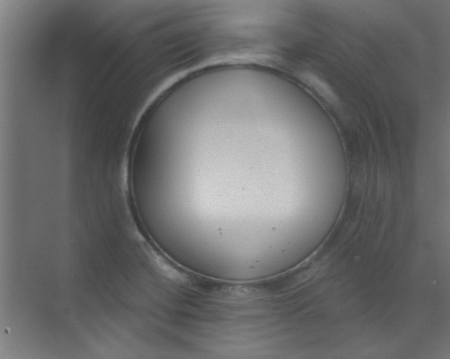 X0000073971420200609051833