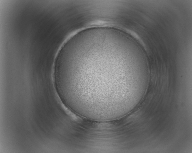 X0000073971421200609051833