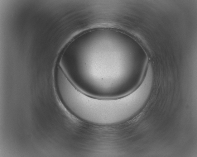 X0000073971422200609051833