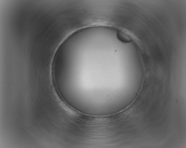 X0000073971423200609051833