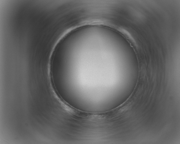 X0000073971424200609051833