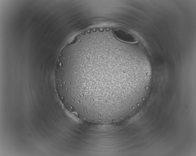 X0000073971425200609051833