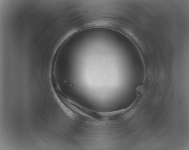 X0000073971426200609051833