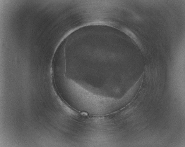 X0000073971428200609051834