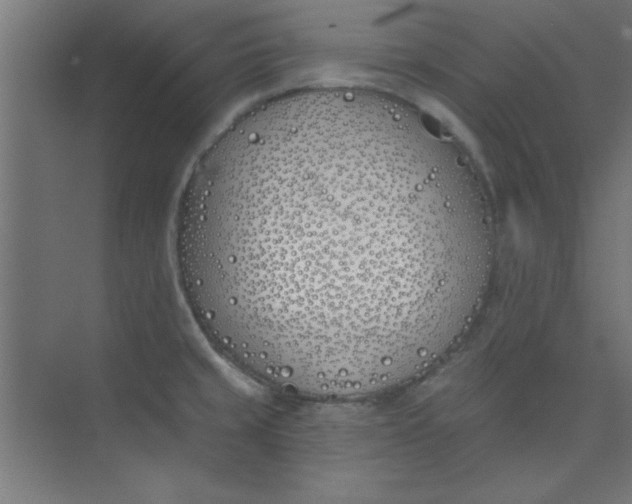 X0000073971429200609051834