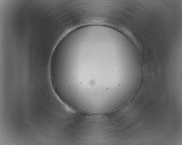 X0000073971432200609051834