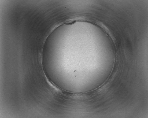 X0000073971433200609051834