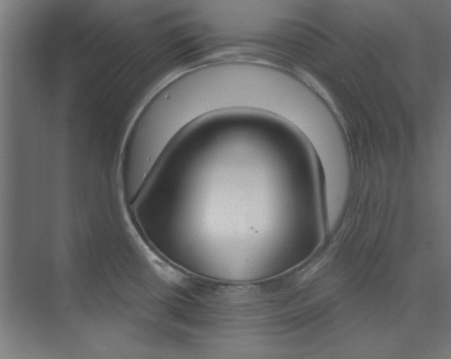 X0000073971434200609051834