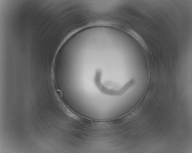 X0000073971436200609051834