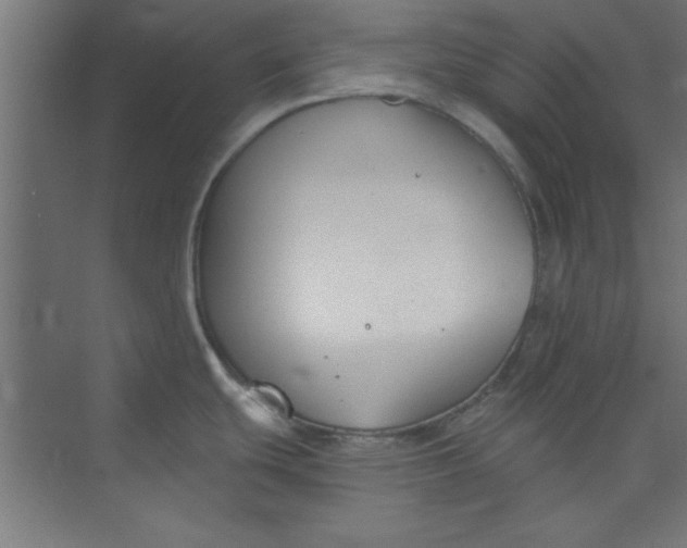 X0000073971439200609051834