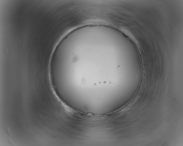 X0000073971440200609051834