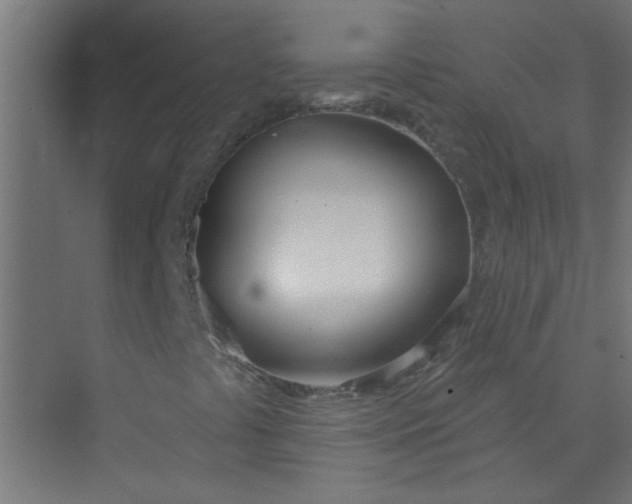 X0000073971441200609051833