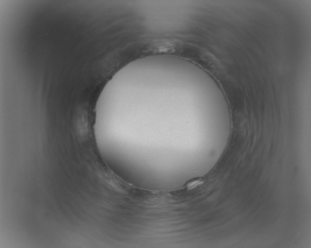 X0000073971442200609051833