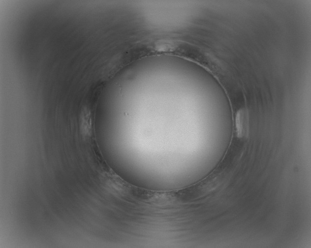 X0000073971443200609051833