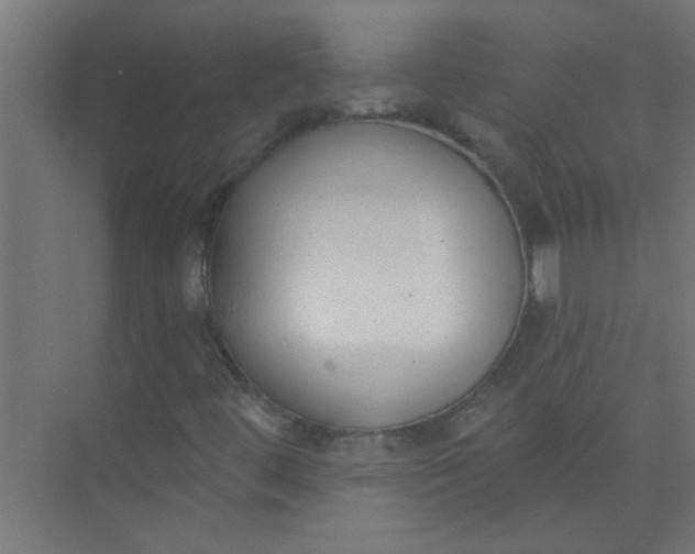 X0000073971444200609051833