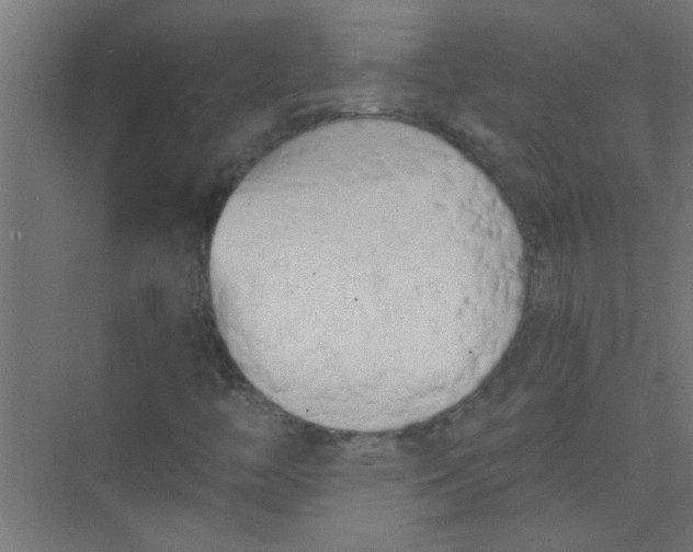 X0000073971446200609051833