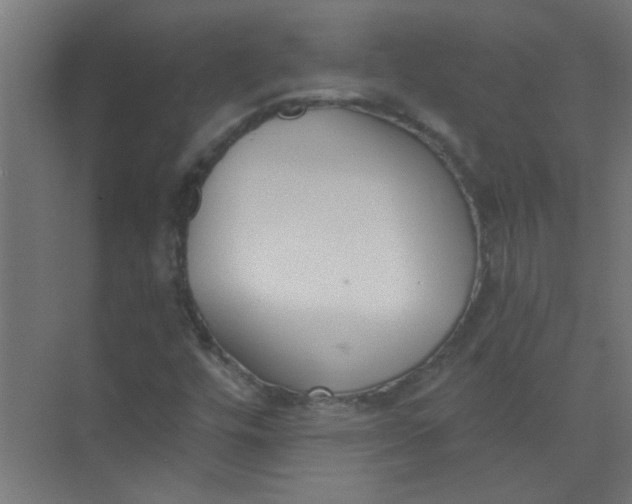 X0000073971448200609051833