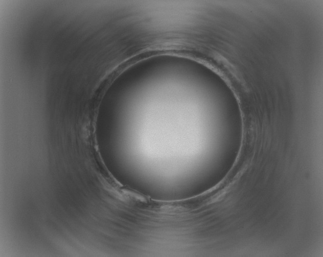 X0000073971449200609051833