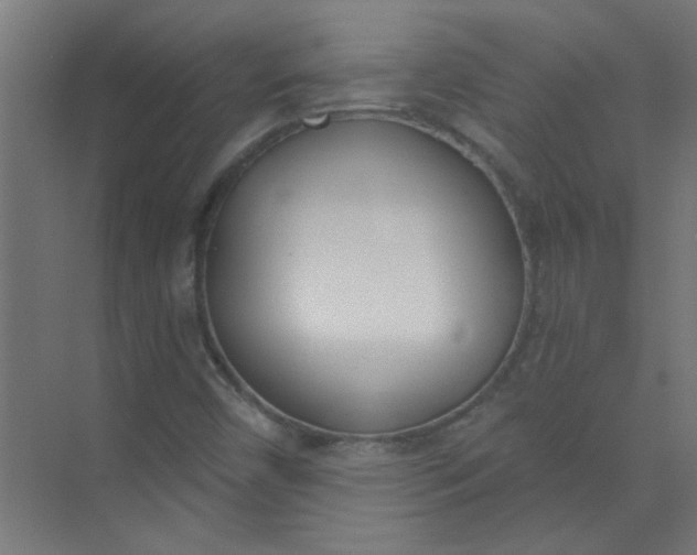 X0000073971450200609051833