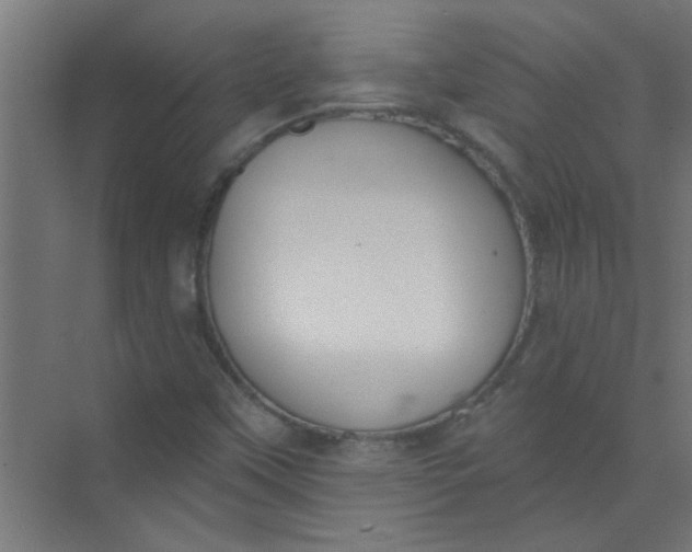 X0000073971451200609051833