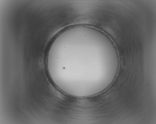 X0000073971452200609051833