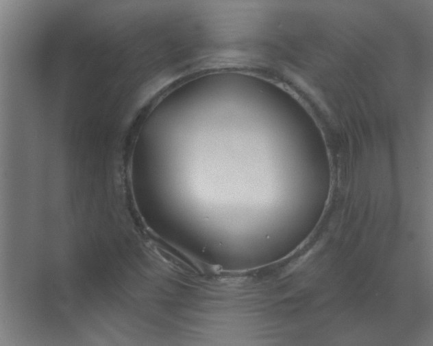 X0000073971453200609051833