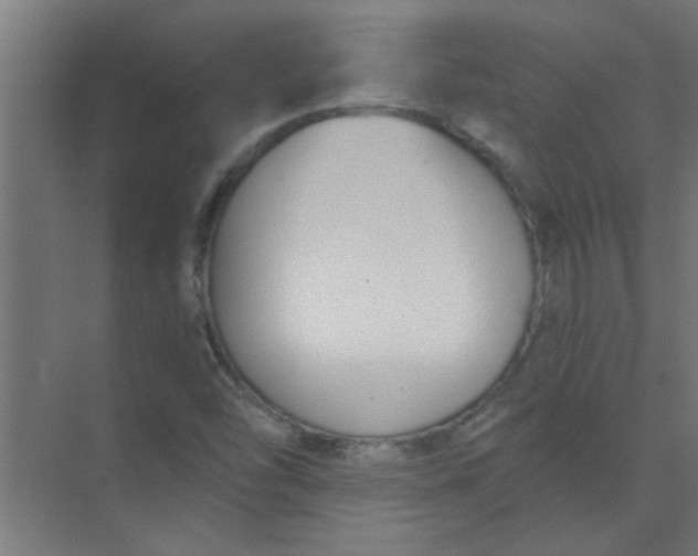 X0000073971454200609051833