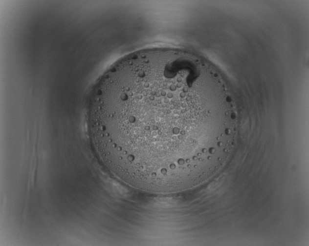 X0000073971455200609051833