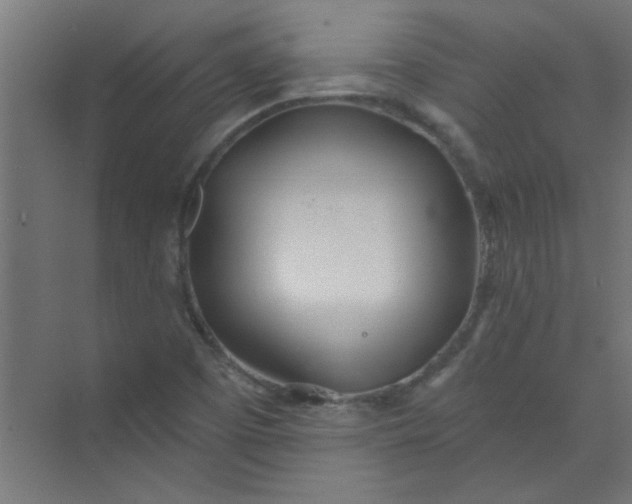 X0000073971457200609051833