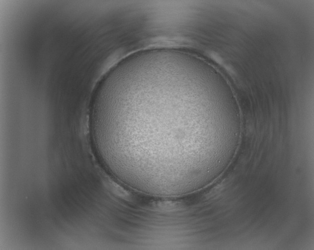 X0000073971459200609051833