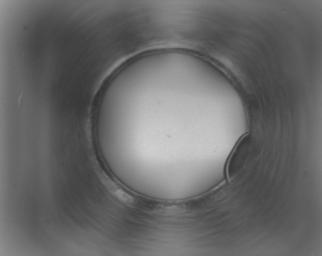 X0000073971460200609051833