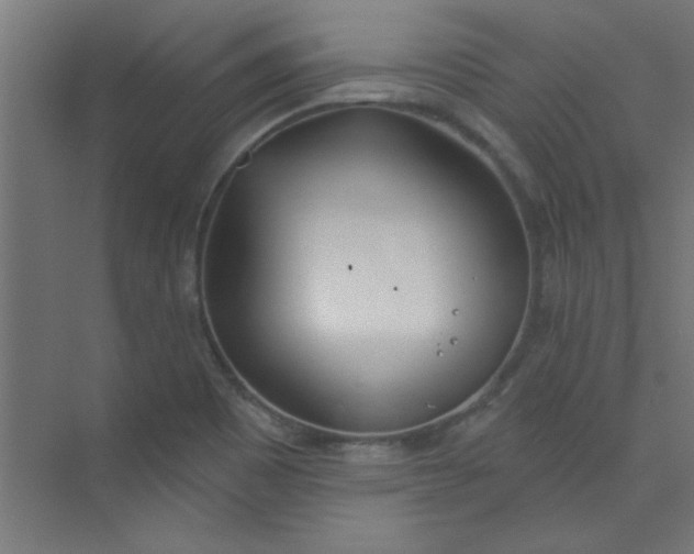 X0000073971465200609051833