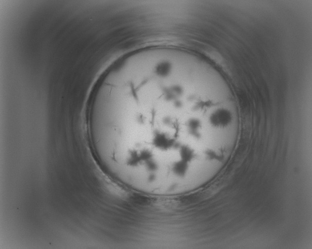 X0000073971466200609051832