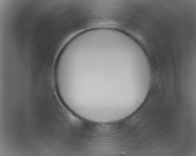 X0000073971470200609051832