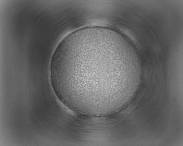 X0000073971471200609051832