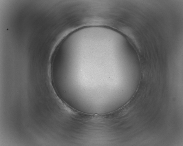 X0000073971472200609051832