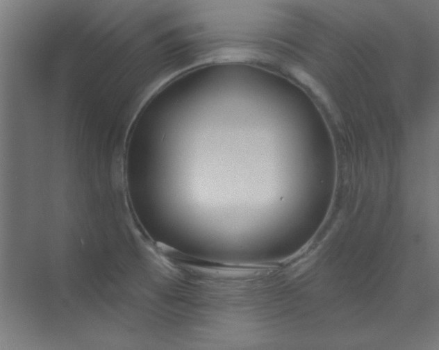 X0000073971473200609051832