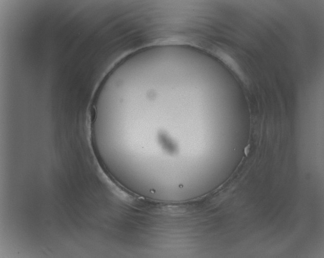 X0000073971476200609051832