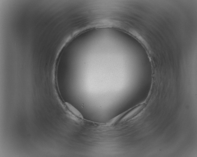 X0000073971477200609051832