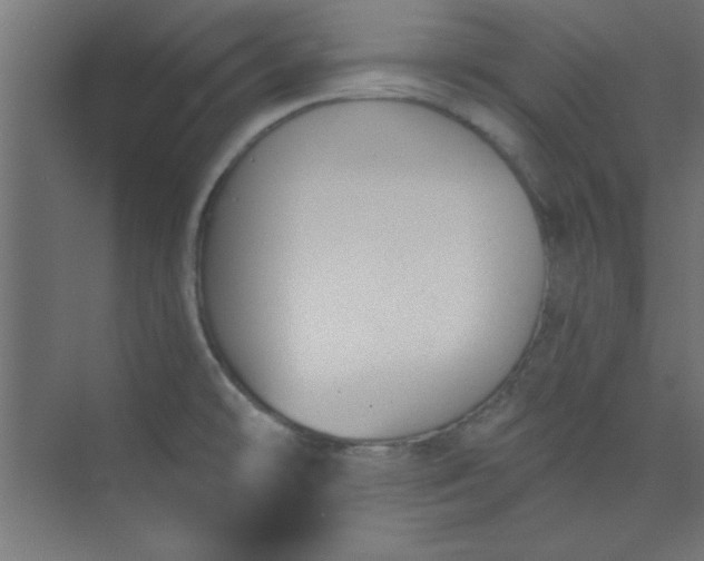 X0000073971478200609051832