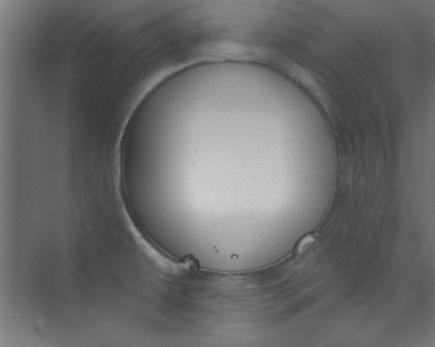 X0000073971479200609051832